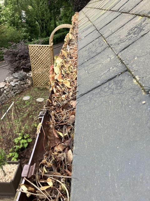 Gutter Before Clean
