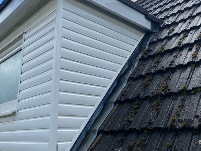 Fascia After Cleaning