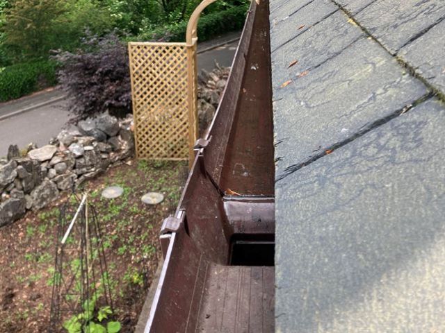 Gutter Cleaning Services