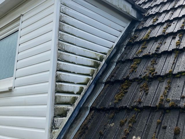 Fascia Before Cleaning