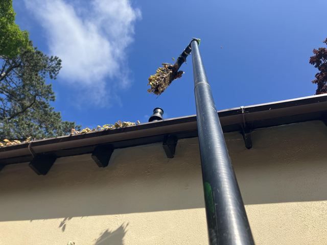 Gutter Cleaning Services
