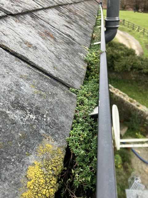 Gutter Before Clean