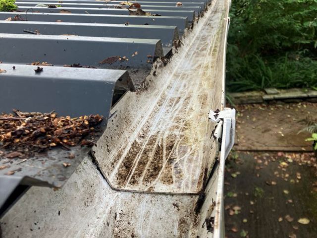 gutter-cleaining-19