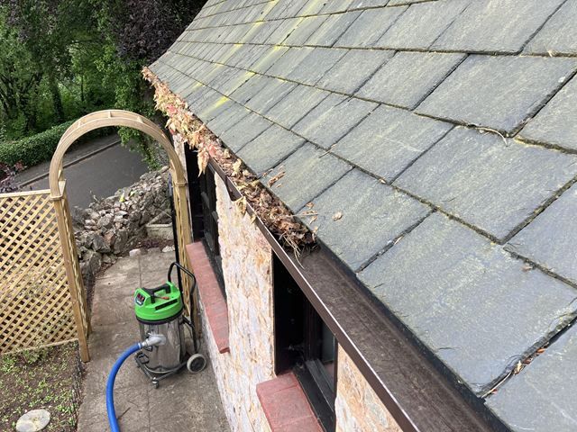 gutter-cleaining-11