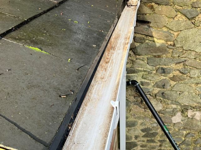 Gutter Cleaning Services