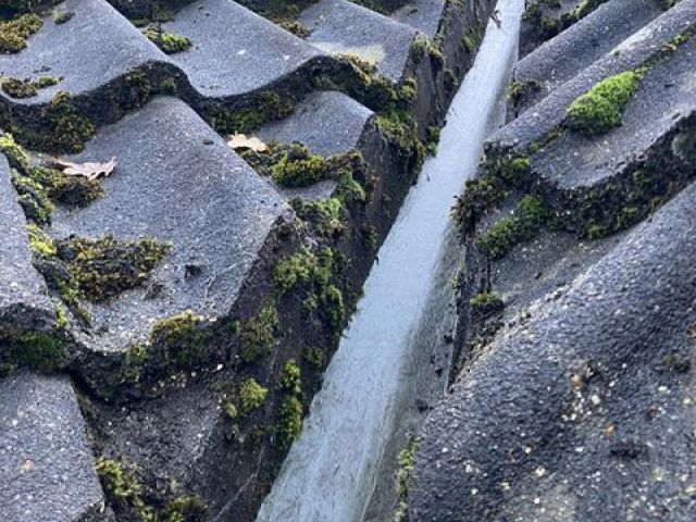gutter-cleaining-p-26